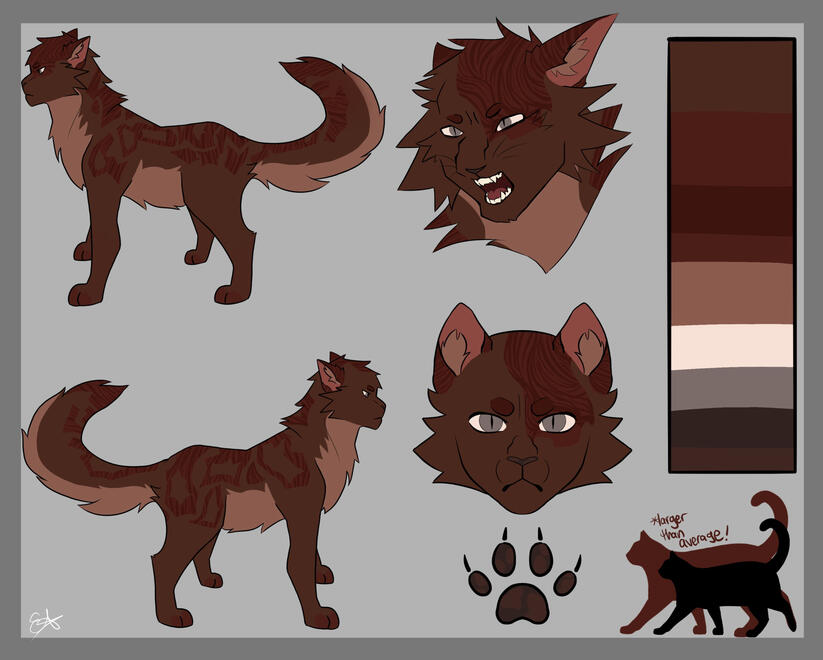 Cat Refrence Sheets
