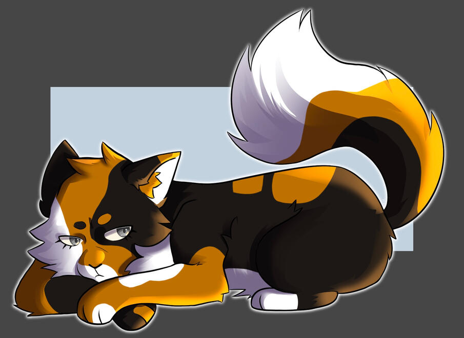 Cat full body
