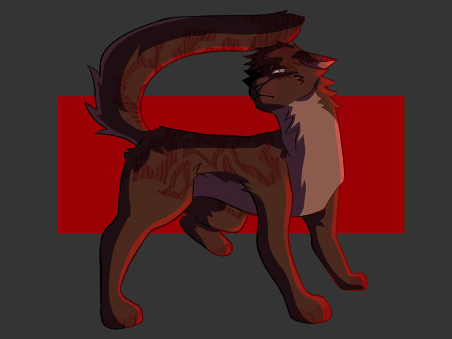 Cat full body